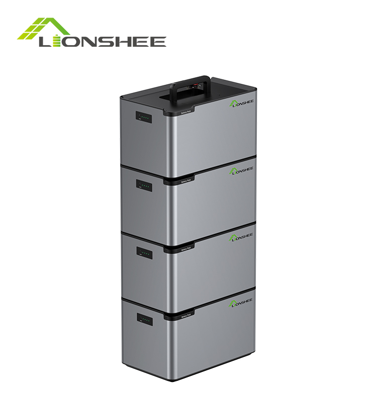 Batería de energía portátil LIONSHEE LS-L1024 4096W