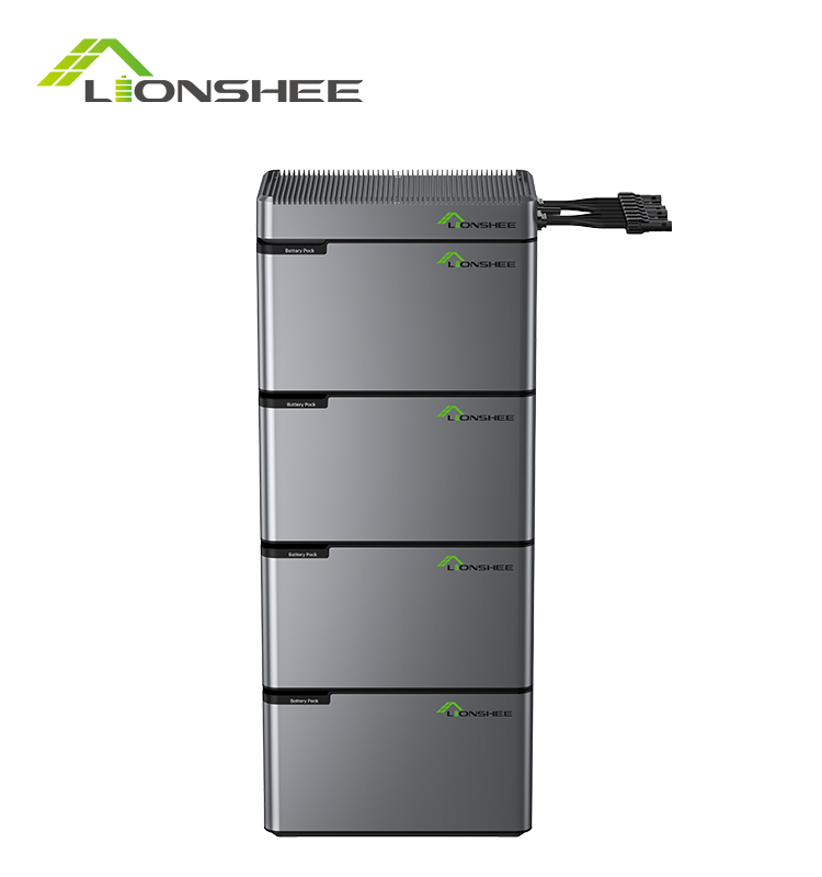 Batería de energía portátil LIONSHEE LS-L1024 4096W