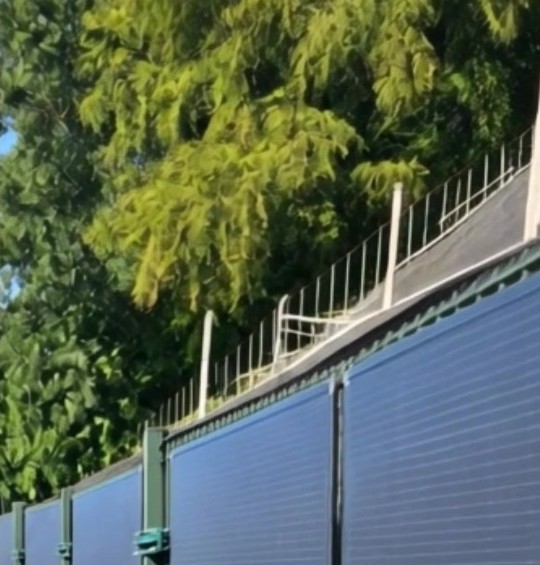 Valla de jard&iacute;n en los Pa&iacute;ses Bajos con paneles solares flexibles LIONSHEE montados en vertical, &aacute;rboles al fondo